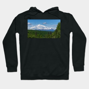 The Great Denali Hoodie